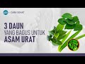 Cara Menurunkan Asam Urat Dengan Alami | Hidup Sehat tvOne