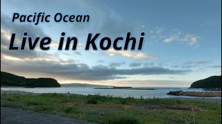 【Live】ISSと星空　高知太平洋ライブカメラ　田舎の漁村風景　Live in pacific ocean Cats and birds【ライブカメラ】