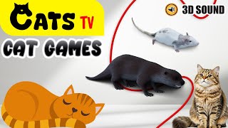 CATS TV Home - Game For Cats 📺3D All Rat 🙀🐁 Best game for CATS😼 [Full HD] 3 HOURS 3D