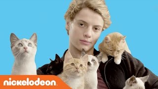 Rufus 2: Jace Norman Loves Kittens | Nick