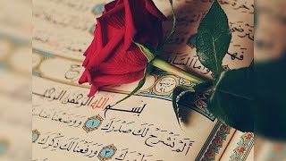ما تيسر من القرآن الكريم لمده ١٠ ساعات بدون فواصل