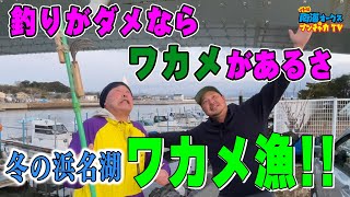 絶品！浜名湖ワカメ！秘密兵器をひっさげて 今年もやります ブンチャカ流ワカメ採り！the南海オークスのブンチャカTV