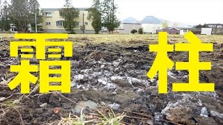 【北海道観光】霜柱 (しもばしら)＝北海道の絶景 (音楽入り)