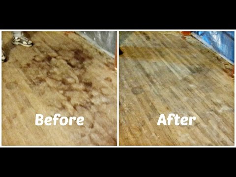 How to Remove Pet Urine Stains From Hardwood Floors How to Remove Pet Urine Stains From Hardwood Floors