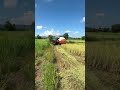 Turning on the rice harvester is amazing.​ #farming #riceharvester #rice