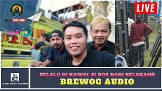 😮😮Wow, Mengagumkan‼ Bos BREWOG AUDIO Selalu Mengikuti Di Belakang Setiap ada Karnaval