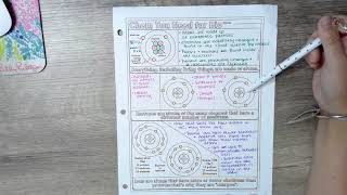Bio basic chem doodle notes