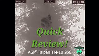 Review of $550 AGM Taipan TM10 - 256