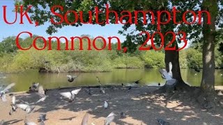 Southampton Common, UK