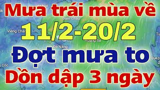 Dự báo thời tiết mới nhất ngày mai 11/2/2025 | dự báo bão mới nhất | thời tiết 3 ngày tới