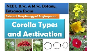 Corolla Types and Aestivation | NEET, B.Sc. &  M.Sc.  Botany