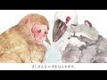 『月のうさぎ〜月見の里物語』