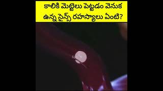 కాలికి మెట్టెలు పెట్టడం వెనుక ఉన్న సైన్స్ గురించి తెలుసా?