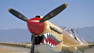 详解二战著名的P-40战斗机，民国时期飞虎队专用 Curtiss P-40 Fighter | 武器大讲堂