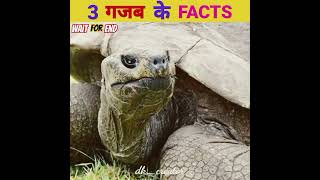 3 गजब के FACTs🌹Top 3 interesting fact🌹 @dkno.1fact #it'sfact #dailyfacts #shorts #facts #daily #fact