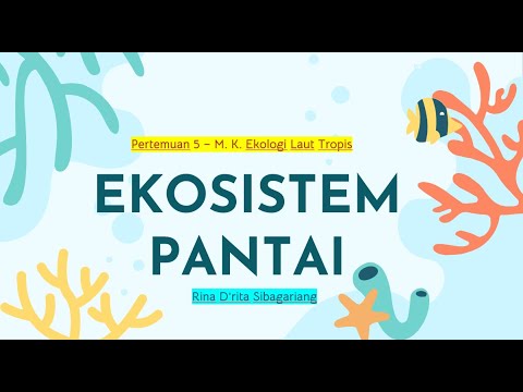 Ekosistem Pantai - YouTube