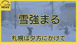 発達中の低気圧通過　北海道の太平洋側でまとまった雪　札幌市でも夕方にかけて雪強まる