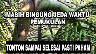 waktu jeda pemukulan manggar bunga aren