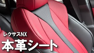 【レクサスの品質と対応】レクサスNXオーナー目線、本革シートのシワ問題と対策事例