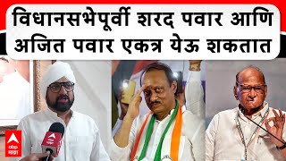 Atul Benke Exclusive :  विधानसभेपूर्वी शरद पवार आणि अजित पवार एकत्र येऊ शकतात : अतुल बेनके