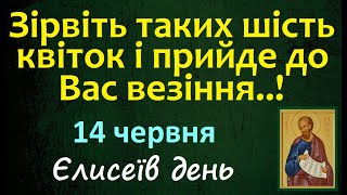 14 червня. Яке Свято / Що треба зробити / народні Прикмети і Традиції / Що не можна робити / Іменини