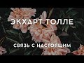 Экхарт Толле - КАК ПОДДЕРЖАТЬ СВЯЗЬ С НАСТОЯЩИМ [Лекции 04] Nikosho