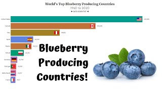 World's Largest Blueberry Producing Countries (1960 - 2020) | USA | Canada | Peru