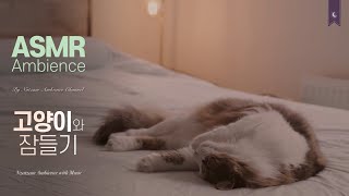 고양이와 LP 레코드를 준비했어요🌙포근하게 잠드는 뭉툭한 빗소리와 톡톡 LP 레코드 소리 asmr 앰비언스