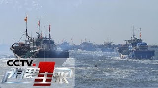 《消费主张》开海了 今年的海鲜有多鲜？（下） 20190809 | CCTV财经