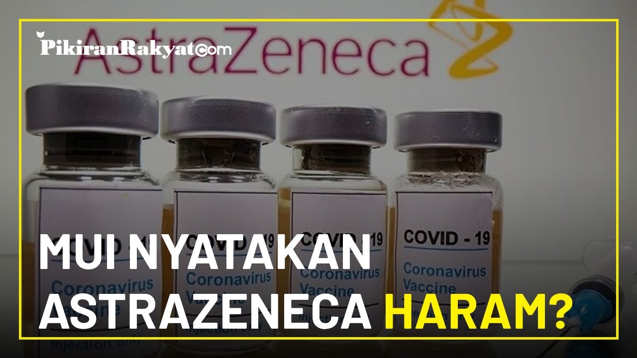 MUI Nyatakan Vaksin AstraZeneca Haram & Mengandung Unsur Babi, Tapi ...