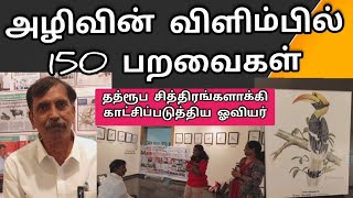 அழியும் விளிம்பில் உள்ள இந்தியப் பறவைகள் | தத்ரூப ஓவியங்கள் தீட்டி காட்சிப்படுத்திய ஆச்சர்யக்கலைஞர்