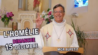 Homélie Mgr Aupetit 15 décembre 2024