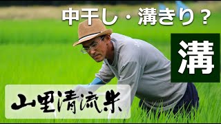 中干し・溝切りってなに？／農家生水ジャパンファーム