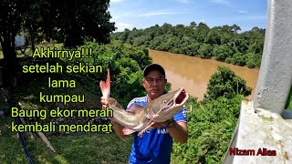 AKHIRNYA!!!SETELAH SEKIAN LAMA KUMPAU,IKAN BAUNG EKOR MERAH KEMBALI MENDARAT