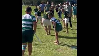 Panorama U/11A vs Newton