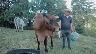 La Otra Historia, esa que no le han contado: El renacer del campo en Córdoba: De la lucha al [...]