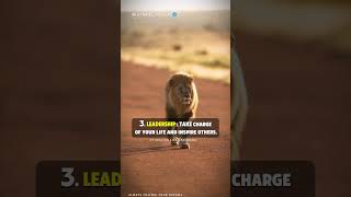 How to Adopt Lion's Mentality 🔥🔥| Motivational quotes #sigmarule #shorts