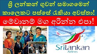 Latest SriLankan Airlines Job Vacancies in 2024 | Open Positions \u0026 How to Apply