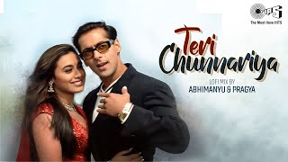 Teri Chunnariya Lofi Mix | Hello Brother | Salman Khan, Rani Mukherjee | Kumar Sanu,Alka Yagnik|90's