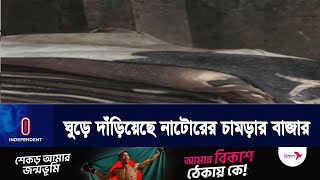 ঈদকে সামনে রেখে ঘুরে দাঁড়িয়েছে নাটোরের চামড়ার বাজার । Natore ।Tannary। Independent