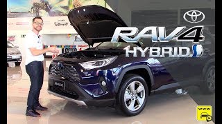 TOYOTA RAV4 HYBRID 2019 em detalhes Externos e Internos