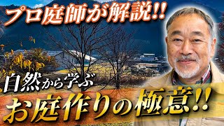 【庭好き必見！】アイデアが光る！自然を駆使した理想のお庭をプロが解説！【植栽】