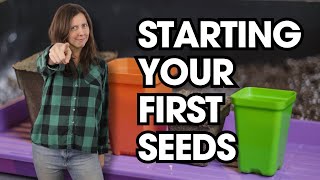 Seedling Tray Prep Rules EVERYONE Should Learn Once and For All