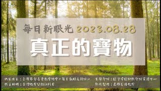 2023.08.28 每日新眼光讀經《真正的寶物》