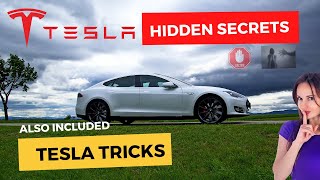 Tesla SECRETS: What you didn't know about the billionaire founder of Tesla
