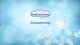 ProBusinessTools - Dispatching