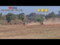 फाहद पटेल कान्हीवाड़ा vs रमेश पटेल मुल्लादेवरी मुंडरई पट ox races