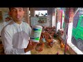 murgion main sans ki bemari ka elaj treatment of respiratory infections in hens