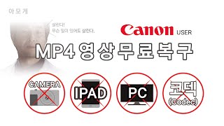 MP4 영상 복구 Digital Video Repair_Free Tool (무료)