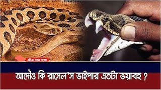 সারাদেশে রাসেল ভাইপার সাপ আতংক! এ ক্ষেত্রে হাদিস থেকে সমাধান ?  মুস্তাফিজ রাহমানী